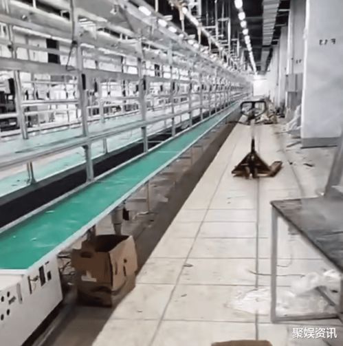 活該！昆山世碩電子廠后續 廠線癱瘓，員工排長隊離職引爆網絡熱議